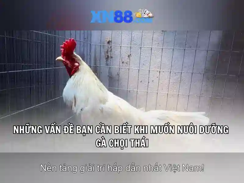 Ứng dụng Slot XN88