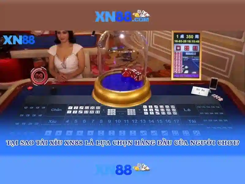 Truy Cập XN88 Không Gián Đoạn