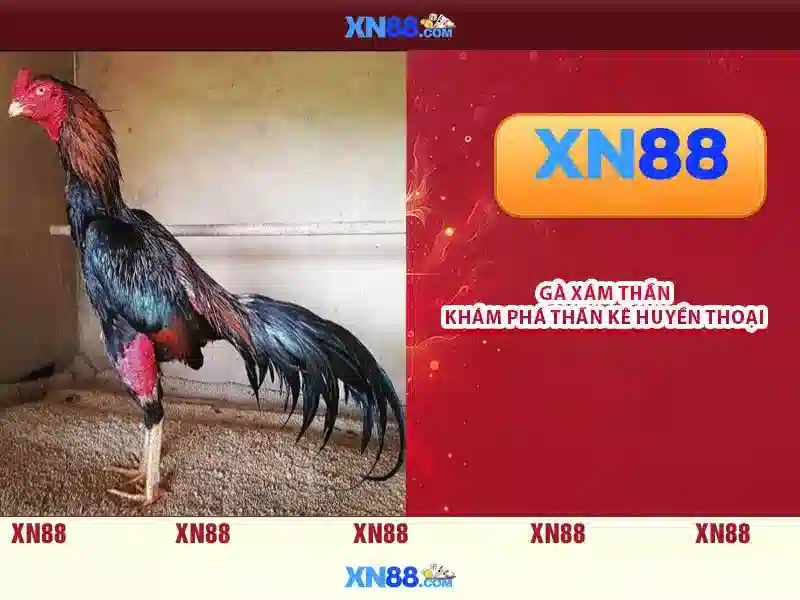 app xn88 – Ứng dụng SLOT Đa Dạng và An Toàn