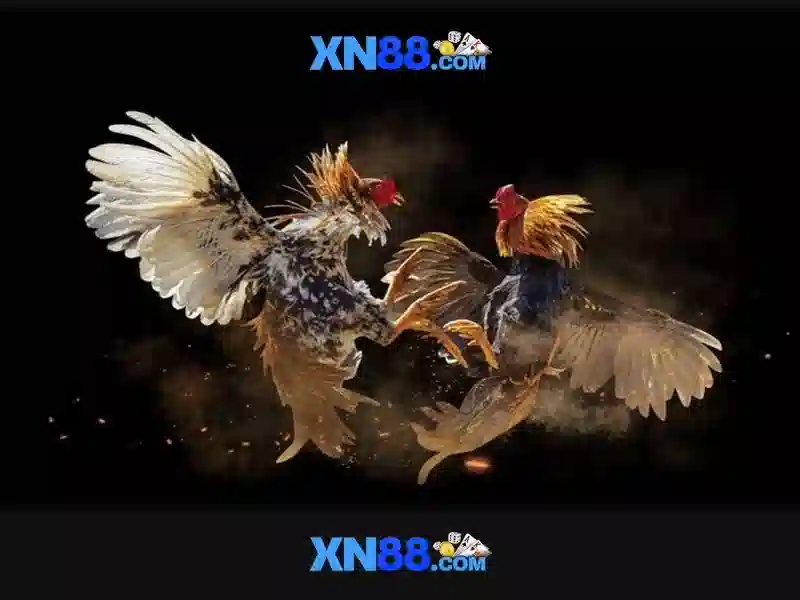 Hướng Dẫn Truy Cập XN88